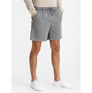 GAP Shorts 7 inch easy short - Men