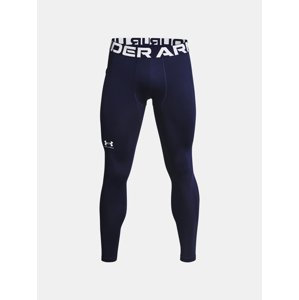 Muške tajice Under Armour