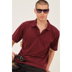 T0063 DEWBERRY