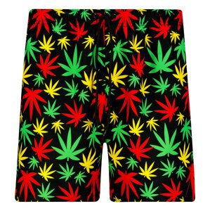 Men's swim shorts Frogies Mr. Green
