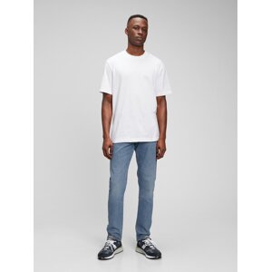 GAP Jeans 365Temp slim with Flex Washwell - Men's