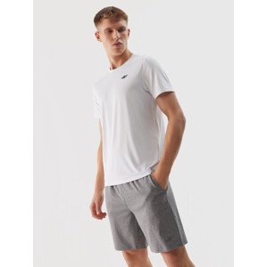 Men's 4F Sports Quick-Drying Shorts - Grey