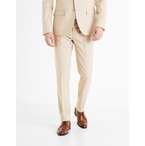Celio Dress Pants Boamaury - Men's