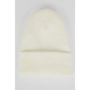 DEFACTO Beret