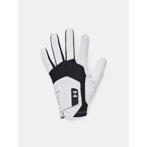 Men's gloves Under Armour