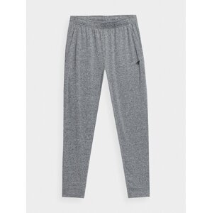 Men's Sweatpants 4F
