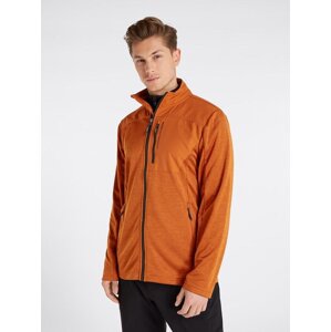 Men's Fleece Sweatshirt Protest Prthammeren Full Zip Top