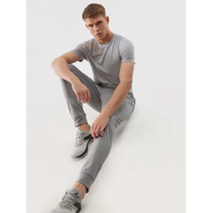 Men's Sports Quick Drying Pants 4F - Cool Light Grey