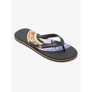 Men's flip-flops Quiksilver MOLOKAI ART