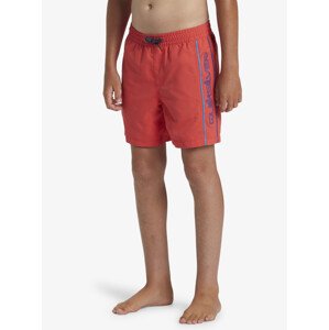 Boys' shorts swimsuit Quiksilver EVERYDAY VERT VOLLEY