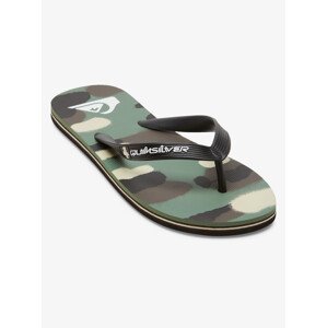 Men's flip-flops Quiksilver MOLOKAI ART