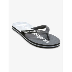 Men's flip-flops Quiksilver MOLOKAI STRIPE