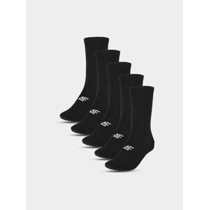 Men's socks 4F (5pack)