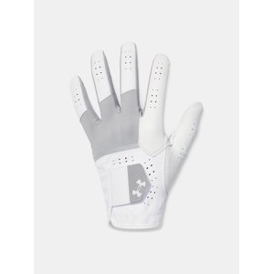 Men's gloves Under Armour Glide Iso-Chill Pro - Men's