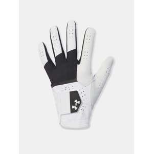 Men's gloves Under Armour Glide Iso-Chill Pro - Men's