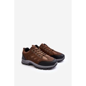 Boto Men's Sport Trekking Shoes Brown Alveze
