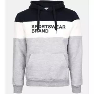 Gemre Light gray men's hoodie
